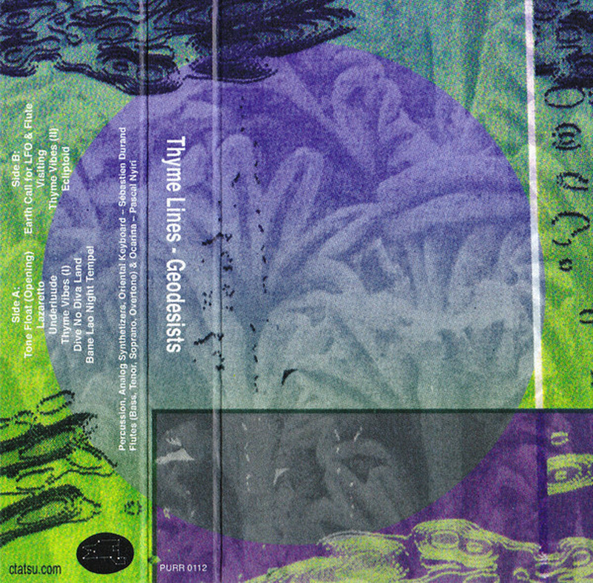 Thyme Lines - Geodesists artwork