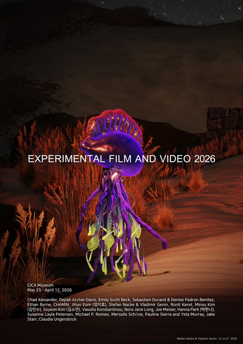 Experimental Film and Video 2026