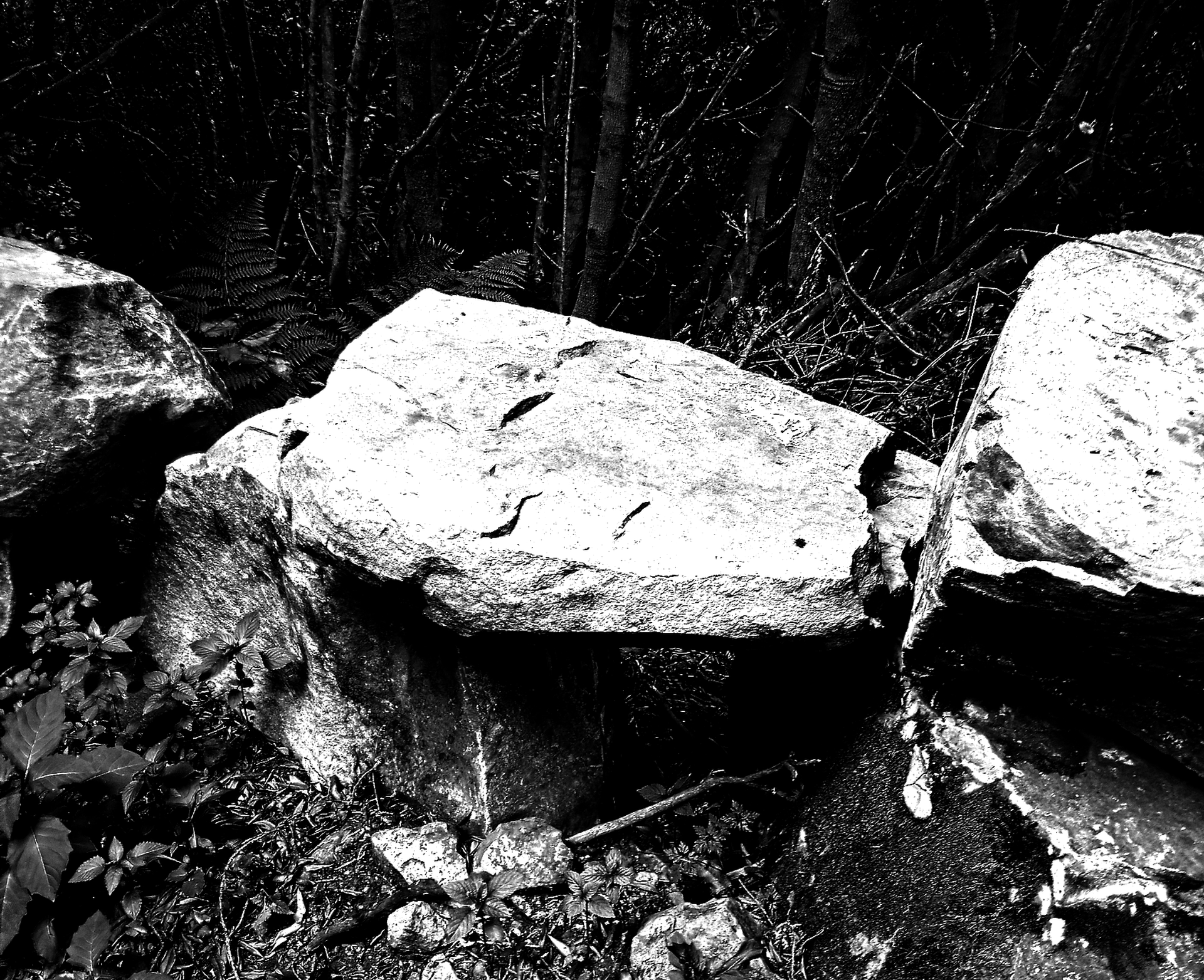Chants of the Forgotten Stones