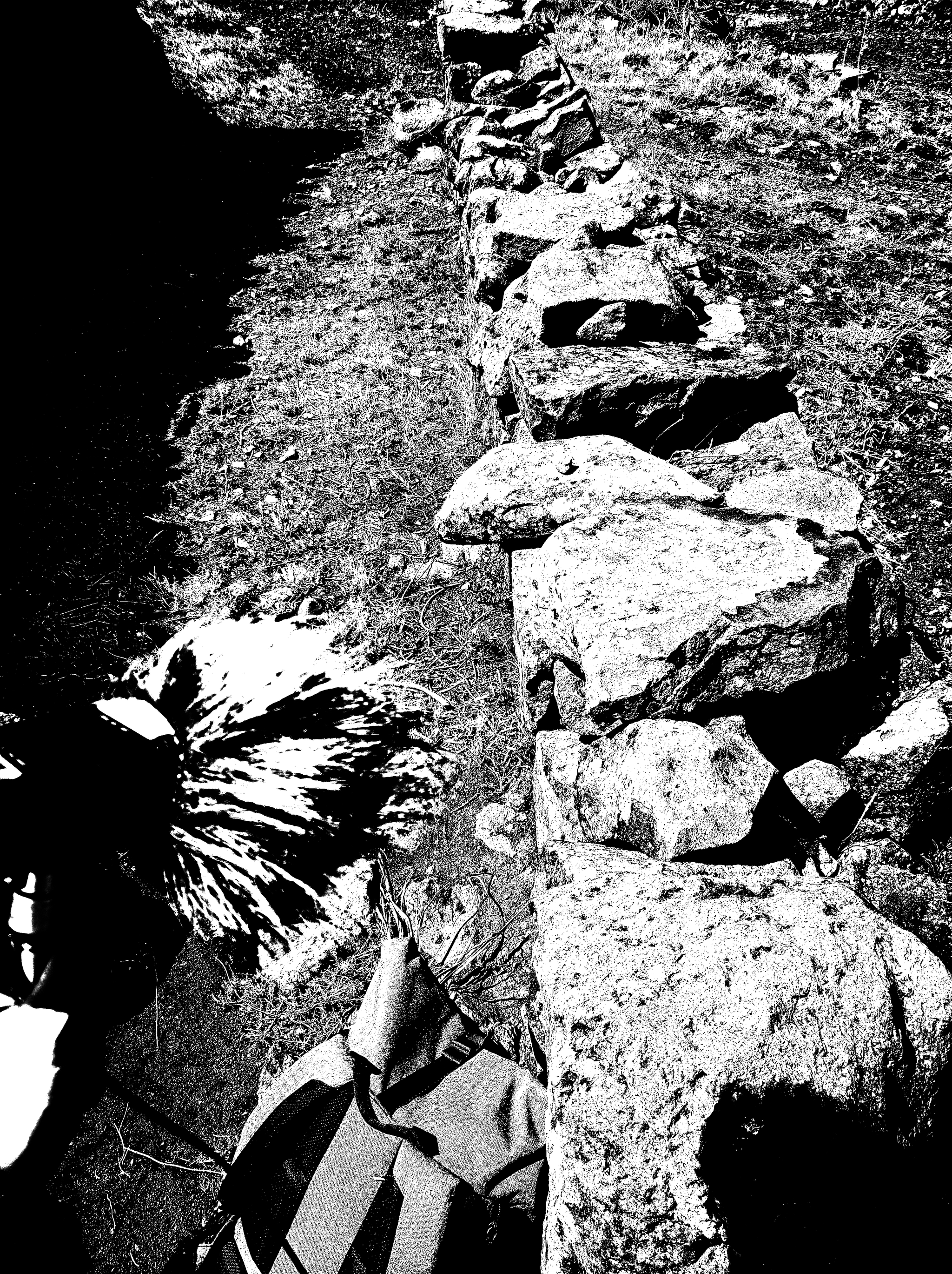Chants of the Forgotten Stones