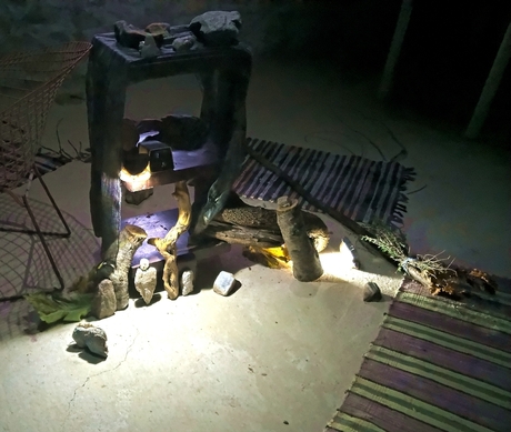 EXPANDED SPACES (2024)