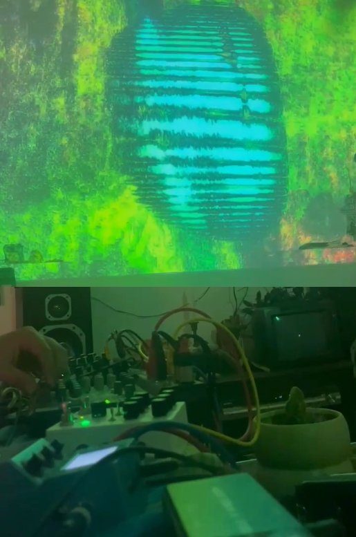 REFLECTED IMMEDIACY (2025)