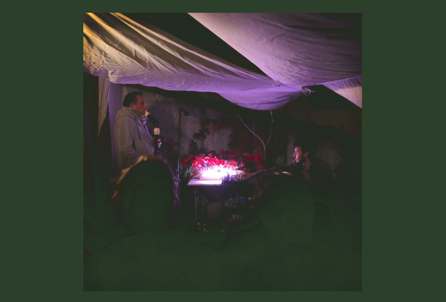 Thyme Lines / Le Cantique des Oiseaux