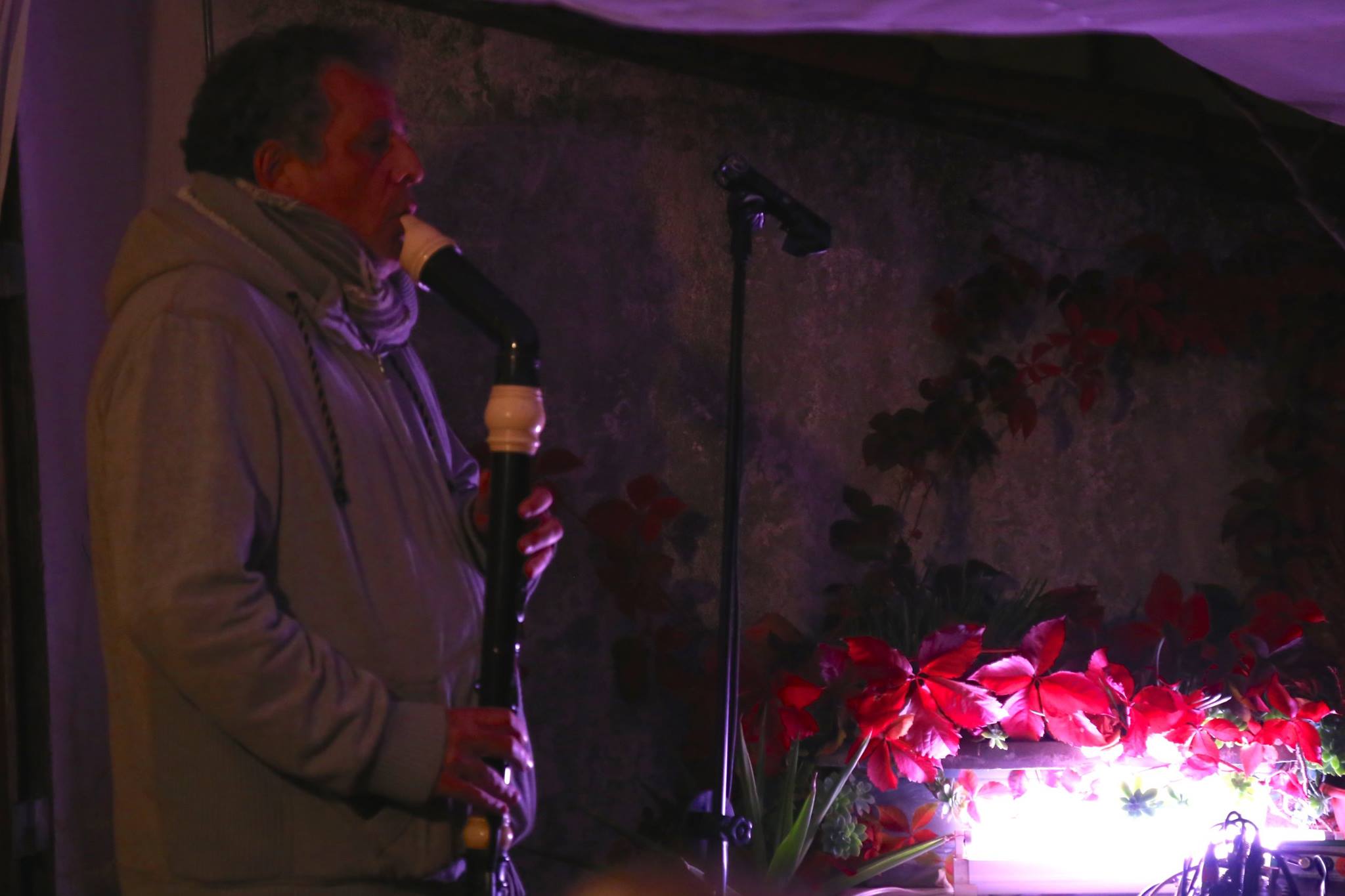 Thyme Lines / Le Cantique des Oiseaux