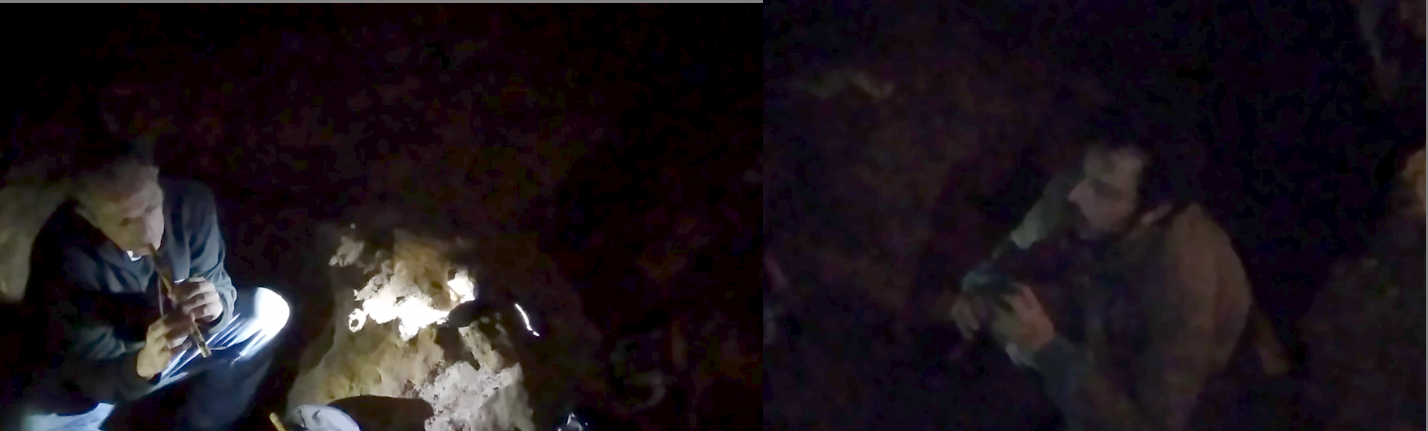 Thyme Lines / Le Cantique des Oiseaux