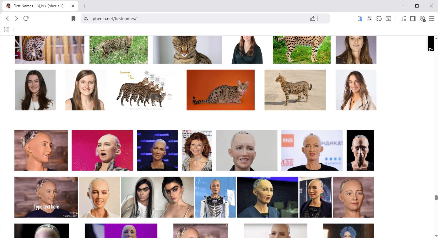 Image Search (phersu.net)