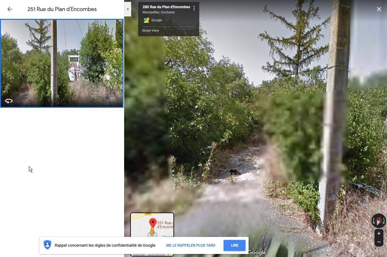 Google Cats